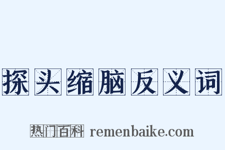 探头缩脑反义词是什么意思的图片